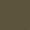 CSP-900: Jungle Canopy  a paint color by Benjamin Moore avaiable at Clement's Paint in Austin, TX.