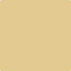 CSP-915: Warm and Toasty  a paint color by Benjamin Moore avaiable at Clement's Paint in Austin, TX.