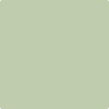 HC-119: Kittery Point Green  a paint color by Benjamin Moore avaiable at Clement's Paint in Austin, TX.