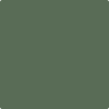 HC-121: Paele Green  a paint color by Benjamin Moore avaiable at Clement's Paint in Austin, TX.
