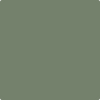 HC-126: Avon Green  a paint color by Benjamin Moore avaiable at Clement's Paint in Austin, TX.
