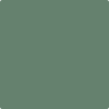 HC-130: Webster Green  a paint color by Benjamin Moore avaiable at Clement's Paint in Austin, TX.