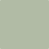 HC-139: Salisbury Green  a paint color by Benjamin Moore avaiable at Clement's Paint in Austin, TX.