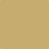 HC-14: Princeton Gold  a paint color by Benjamin Moore avaiable at Clement's Paint in Austin, TX.