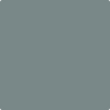 HC-161: Templeton Gray  a paint color by Benjamin Moore avaiable at Clement's Paint in Austin, TX.