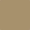 HC-20: Woodstock Tan  a paint color by Benjamin Moore avaiable at Clement's Paint in Austin, TX.